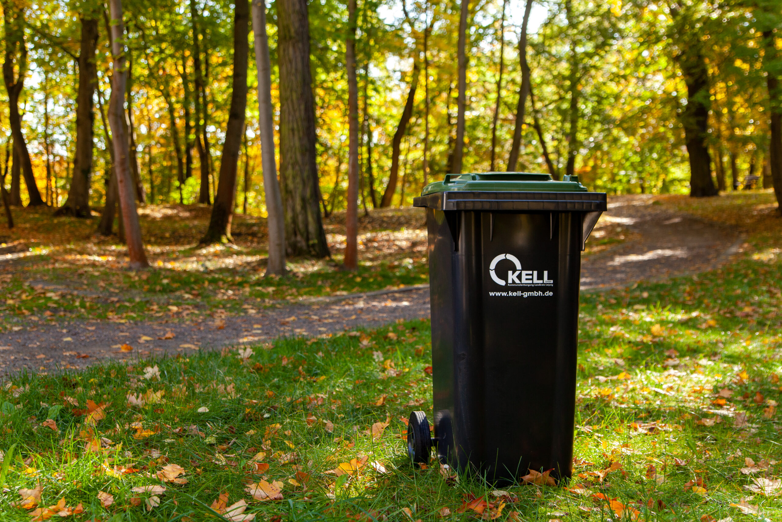 Biotonne oder Eigenkompostierung im Landkreis Leipzig – Was lohnt sich für Sie?